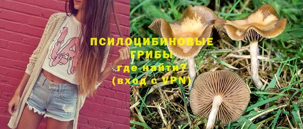 мдма Гусев