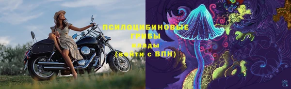 мдма Гусев