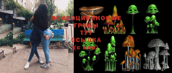 ALPHA-PVP Гусиноозёрск