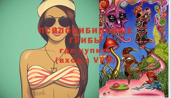 2c-b Гусь-Хрустальный