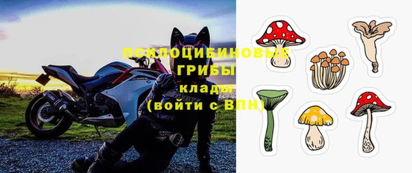 мдма Гусев